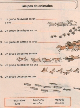 ANIMALES-Grupos-de-animales