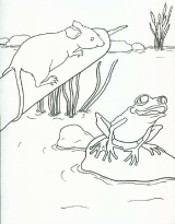 friendfrogcoloringbook2